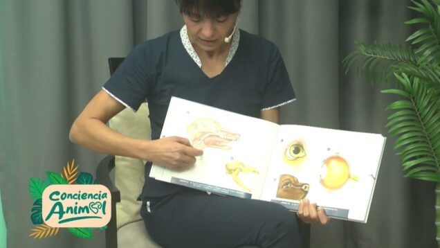 C20 Noticias | Conciencia Animal – Romina Predovan