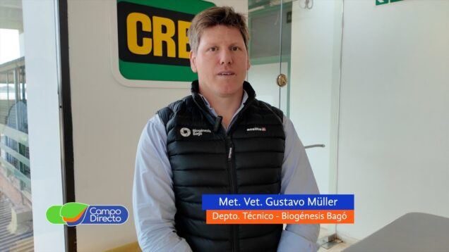 Campo Directo | Cómo garantizar un parto seguro y una cría saludable