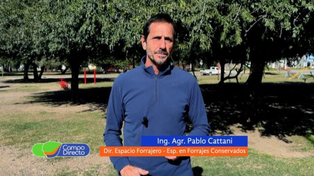 Campo Directo | Estrategias de uso de verdeos