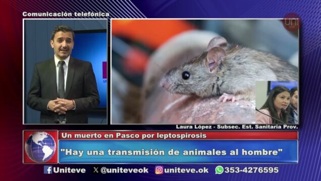Uniteve Noticias | Un muerto en Pasco por leptospirosis