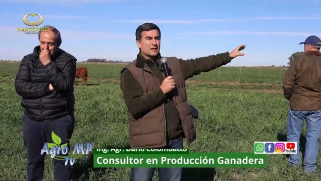 Agro MP Programa 803