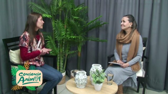 C20 Noticias | Conciencia Animal – Dra. Lía Calderón