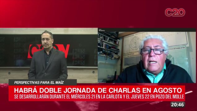C20 Noticias | Perspectivas para el maíz – Pablo Andreani