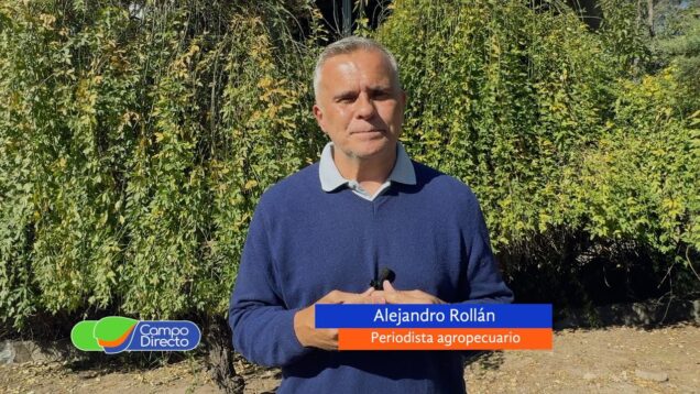 Campo Directo | Primer semestre del año: la hacienda y la carne perdieron contra la inflación