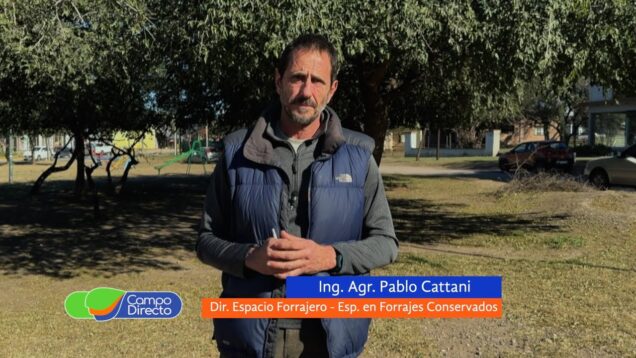 Campo Directo | Terminó la campaña, ¿Cómo se comportó el maíz?