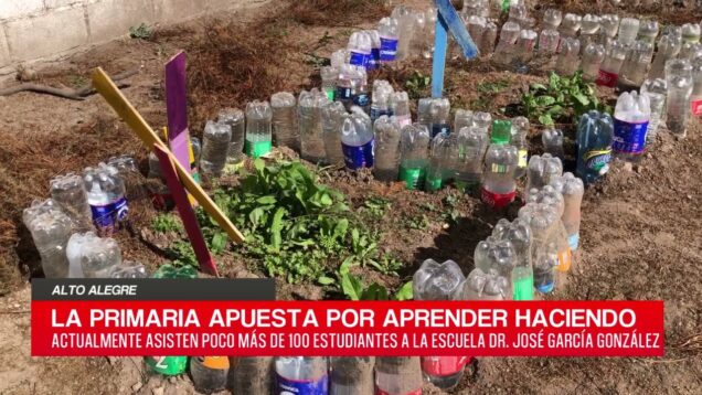 C20 Noticias | Alto Alegre – Deolinda Ainardi