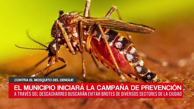 C20 Noticias | Contra el mosquito del dengue – Cesar Rivera y Pablo Arriaga