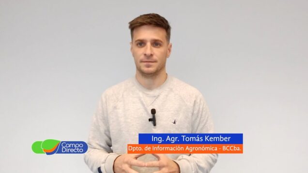 Campo Directo | Análisis Agrometeorológico de la BCCBA 23-08-2024