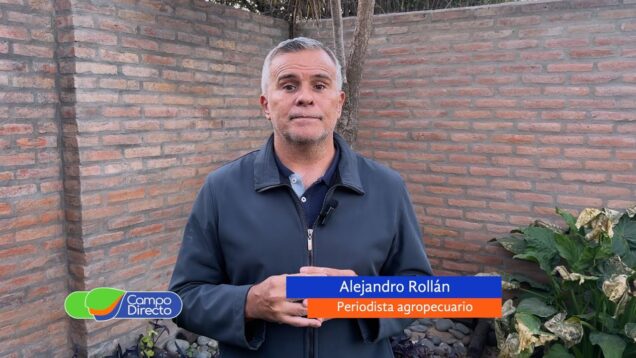 Campo Directo | El Gobierno anunció la baja de retenciones a la carne