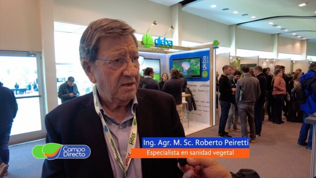 Campo Directo | En Argentina sumamos más conocimiento por hectárea