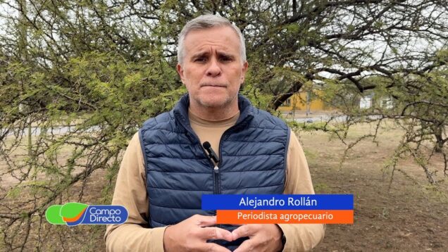 Campo Directo | La cosecha récord a nivel mundial presiona el precio de la soja