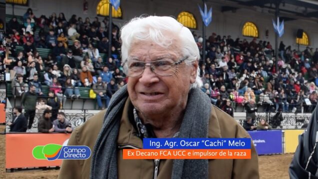 Campo Directo | La raza San Ignacio debutó en la Exposición Rural de Palermo