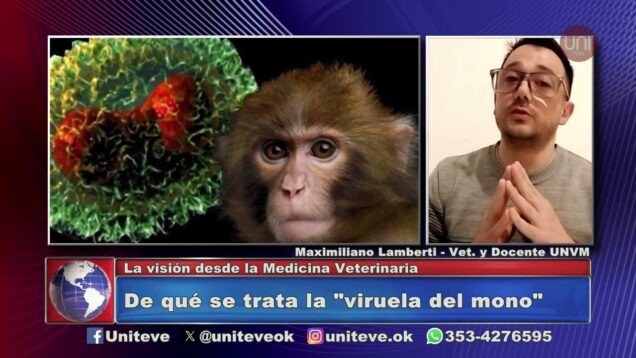 Uniteve Noticias | De qué se trata la viruela del mono