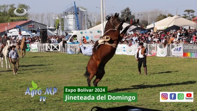 Agro MP Programa 811