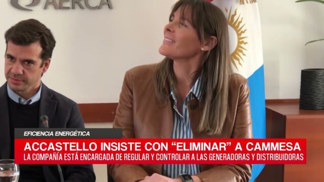 C20 Noticias | Eficiencia Energética – Eduardo Accastello