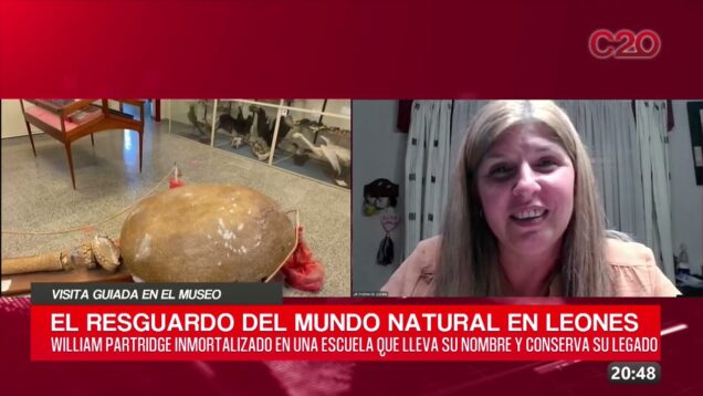 C20 Noticias | Visita guiada en el museo – Andrea Biolato