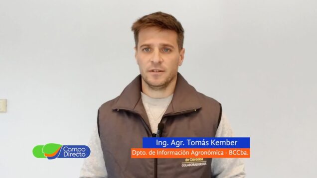 Campo Directo | Análisis Agrometeorológico de la BCCBA 06-09-2024