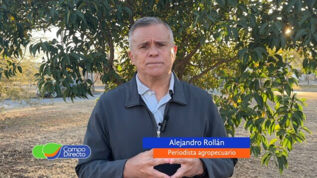 Campo Directo | La menor producción de maíz podría complicar a la producción de carne