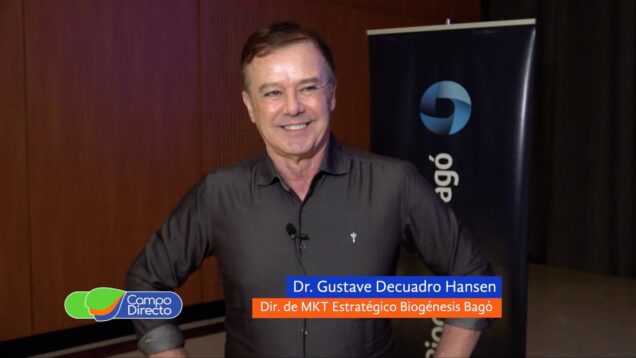 Campo Directo | Novedades en Inseminación Artificial Bovina