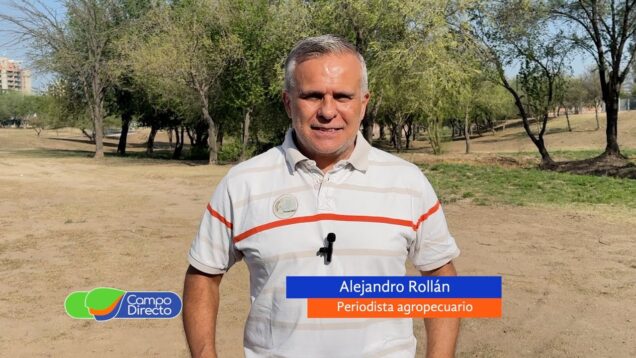 Campo Directo | ¿Qué puede pasar a fin de año con los precios de la carne vacuna?