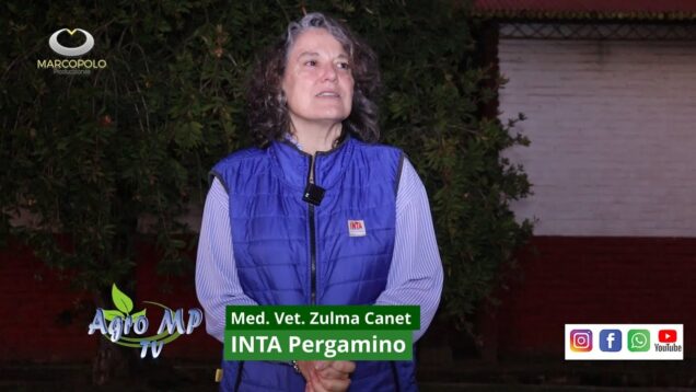 Agro MP Programa 813