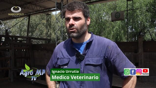 Agro MP Programa 816