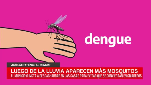 C20 Noticias | Acciones frente al dengue – César Rivera