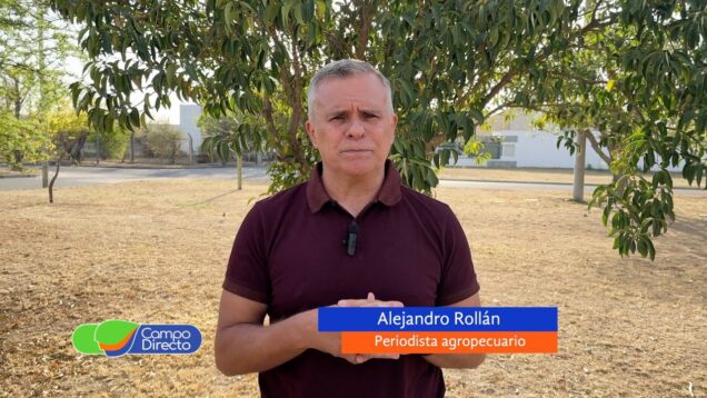 Campo Directo | Los granos y la carne pierden peso y la leche es la excepción