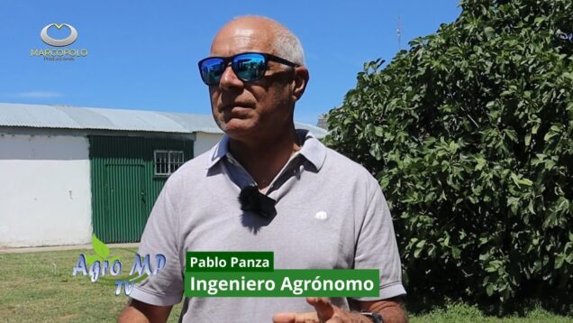 Agro MP Programa 819