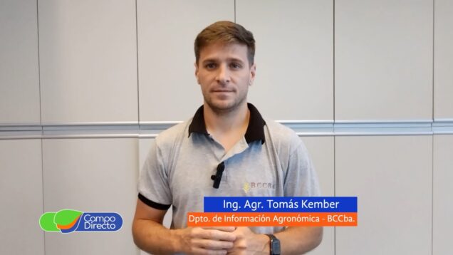 Campo Directo | Análisis Agrometeorológico de la BCCBA 08-11-2024