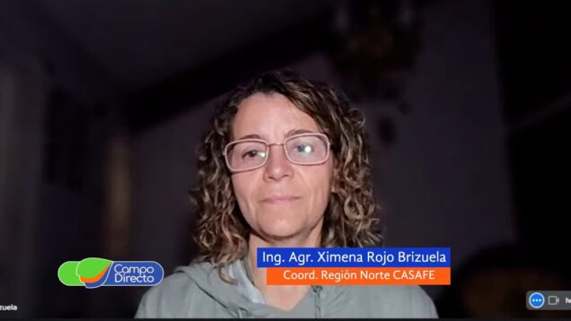 Campo Directo | Fitosanitarios hormonales: Correcto uso para minimizar riesgos