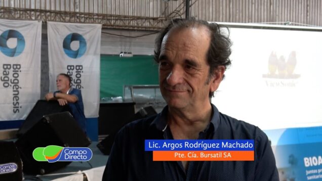 Campo Directo | Opciones Financieras y de Mercado de Capitales