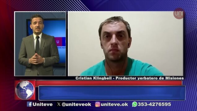 Uniteve Noticias | Yerbateros convocan a un paro de cosecha por cuatro meses