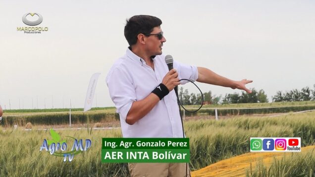 Agro MP Programa 823