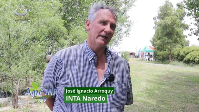 Agro MP Programa 824