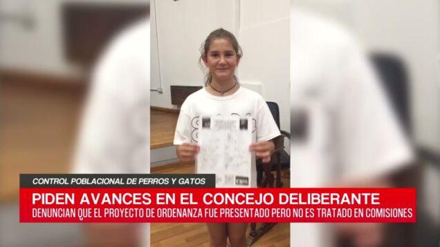 C20 Noticias | Control poblacional de perros y gatos – Rebeca Giuliano