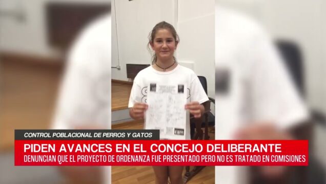 C20 Noticias | Control poblacional de perros y gatos – Manuel Sosa