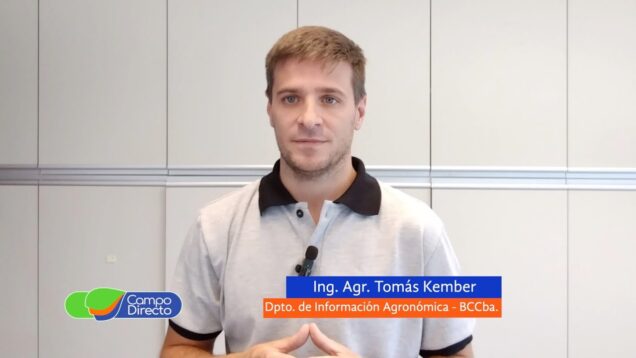 Campo Directo | Análisis Agrometeorológico de la BCCBA 13-12-2024