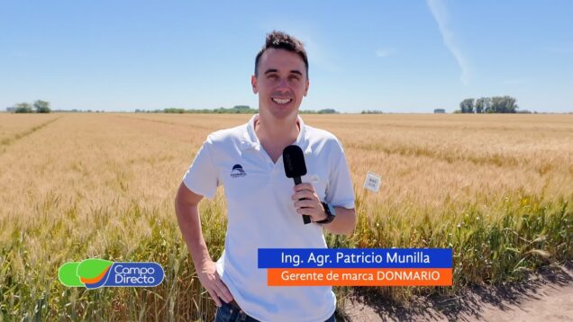 Campo Directo | En Chacabuco conocimos las nuevas variedades de Don Mario