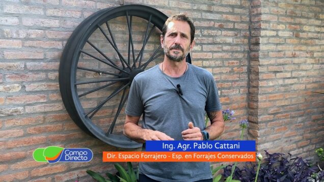 Campo Directo | Recaudos a la hora de ensilar cultivos en primavera