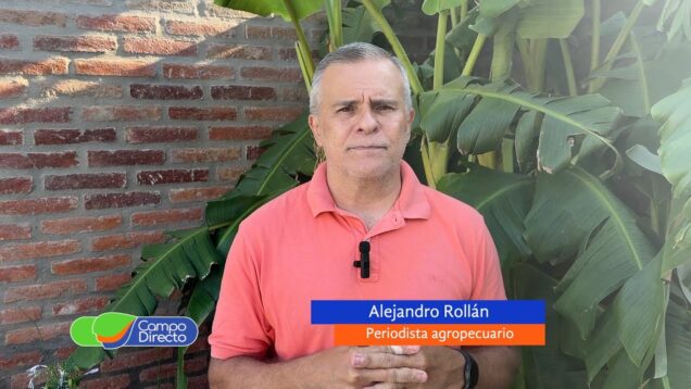 Campo Directo | Soja: la decisión de no vender la convirtió en una de las peores inversiones