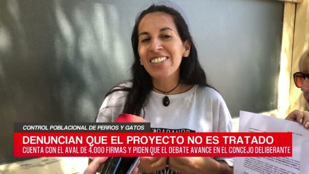 C20 Noticias | Control poblacional de perros y gatos – Rebeca Giuliano