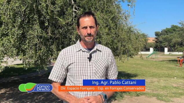 Campo Directo | Adelanto de picado