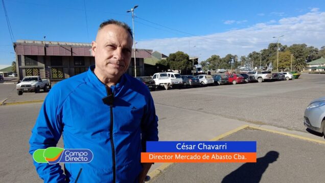 Campo Directo | Así es el camino de las frutas y verduras hasta la mesa