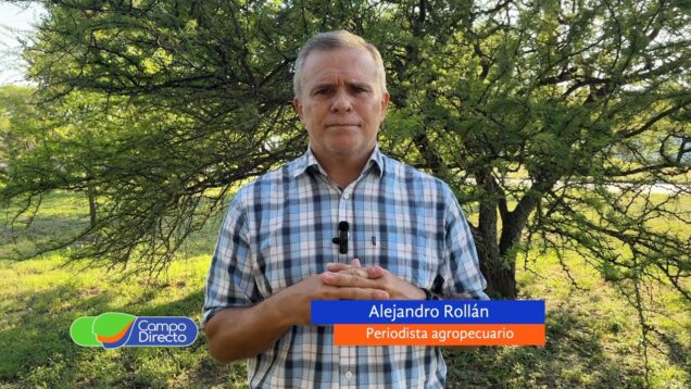 Campo Directo | Baja de retenciones: ¿se reactivaron las ventas en las primeras dos semanas?