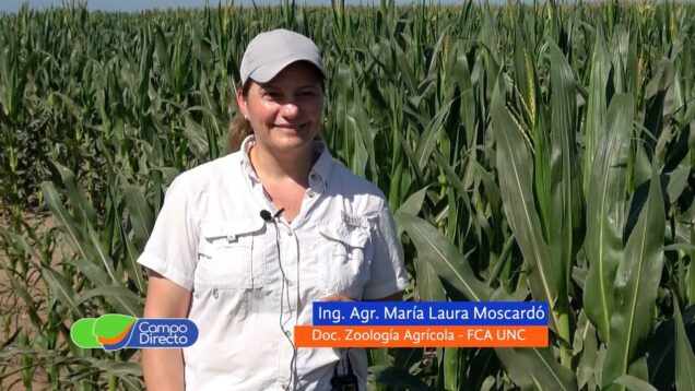 Campo Directo | Biocontroladores: avances y resultados para el manejo de plagas mov