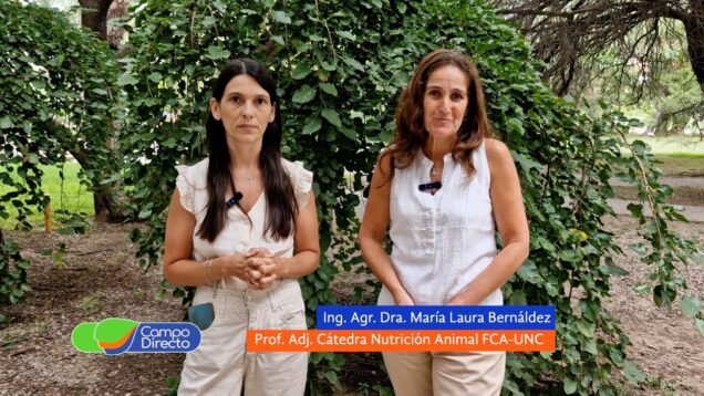 Campo Directo | Diplomatura en “Gestión de la alimentación en sistemas de producción de carne” en la FCA UNC