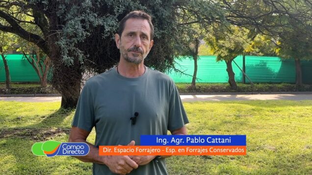 Campo Directo | Forrajes: Para decidir es fundamental medir materia seca