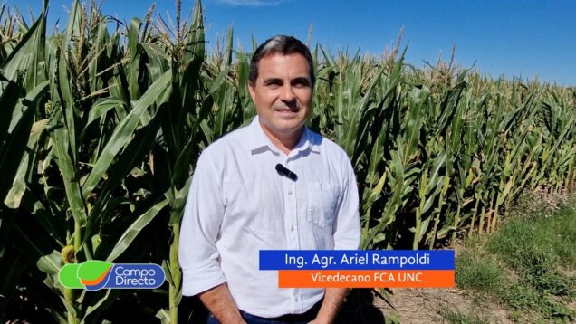 Campo Directo | La Chocleada Solidaria cumple diez años