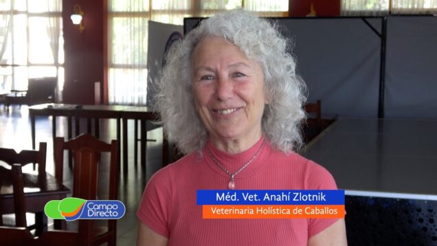 Campo Directo | ¿Qué es la medicina holística en equinos?